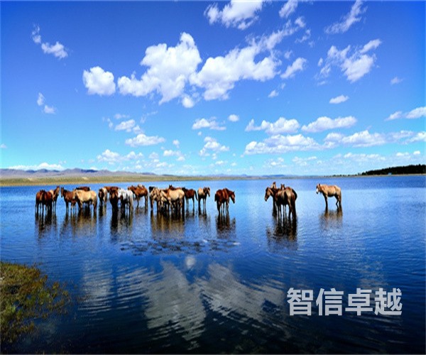 專業(yè)的越南語(yǔ)翻譯-專業(yè)的越南語(yǔ)翻譯公司
